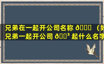 兄弟在一起开公司名称 🐎 （好兄弟一起开公司 🌳 起什么名字好）